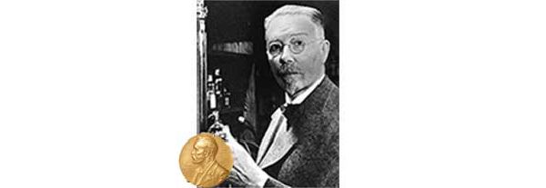 Hypertension and Microcirculation, Krogh's discovery